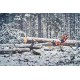 Profesjonalna pilarka spalinowa Husqvarna 560&nbsp;XP® G Mark II