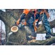 Akumulatorowa pilarka łańcuchowa Husqvarna T542i XP® do pielęgnacji drzew