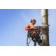 Pilarka spalinowa Husqvarna 550XP® II