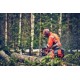 Profesjonalna pilarka Husqvarna 560&nbsp;XP® Mark II