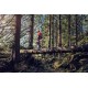 Pilarka spalinowa Husqvarna 572XP®