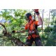 Pilarka akumulatorowa HUSQVARNA T535i XP®