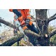 Akumulatorowa pilarka łańcuchowa Husqvarna T542i XP® do pielęgnacji drzew