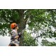 Husqvarna Aspire™ P8X-P4A + wysięgnik Aspire™