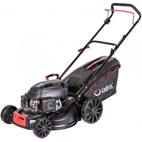 Kosiarka spalinowa Cedrus KS48