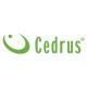 Profil listwy wibracyjnej LW01 3,66 m Cedrus