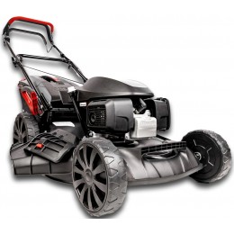 Kosiarka spalinowa Cedrus KS51S-H